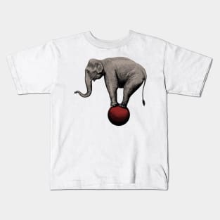 Perfect Balance Kids T-Shirt